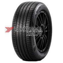 255/45R19 100V Scorpion TL